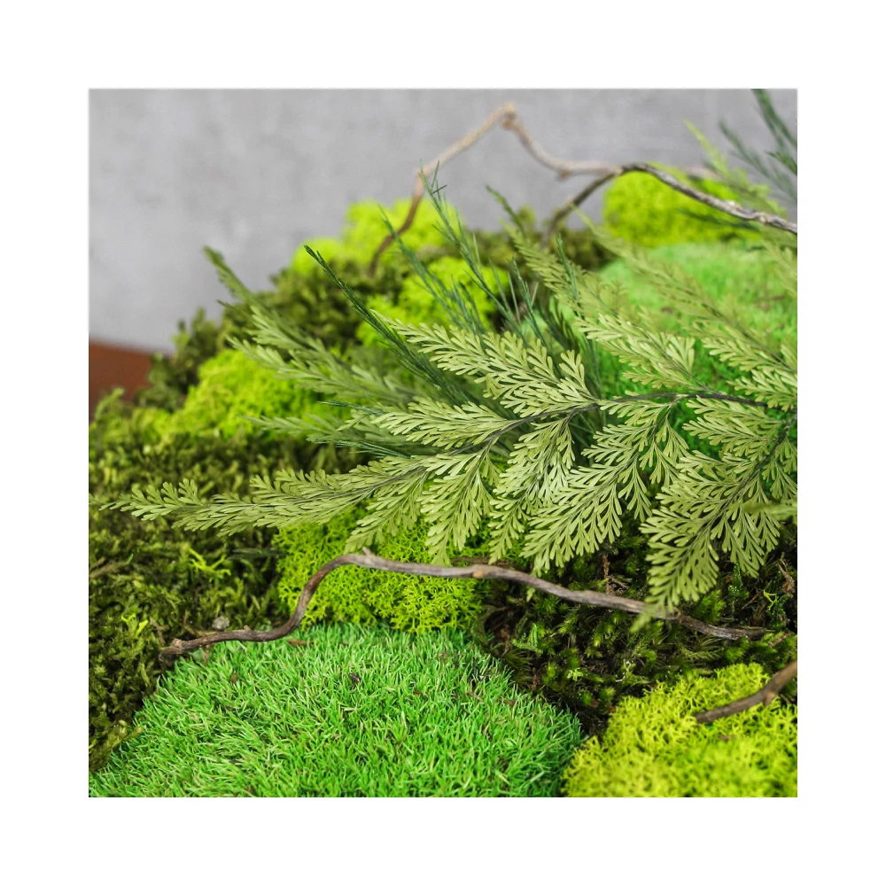 Kép 2/4 - SKYE-LEAFY 