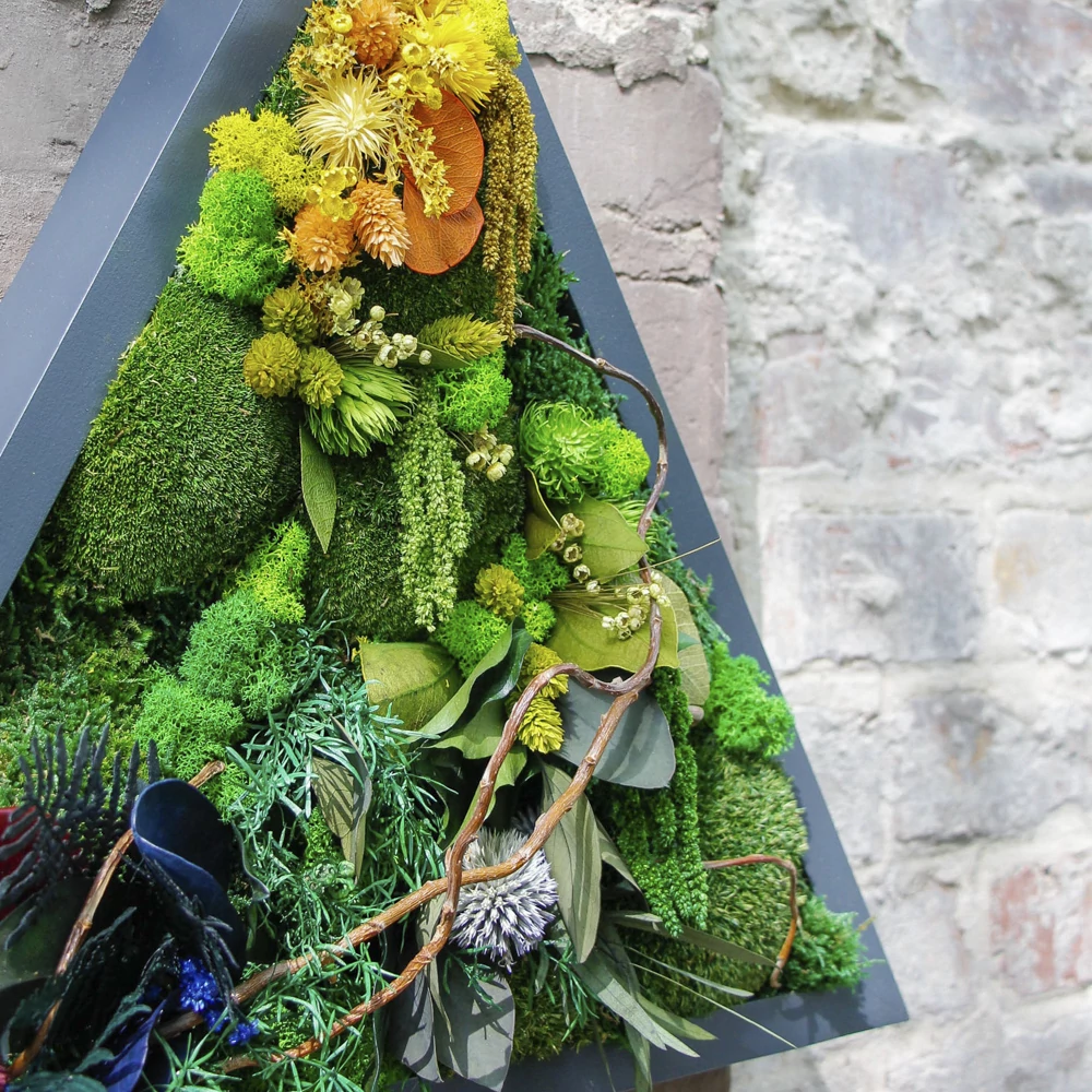 Kép 3/6 - NIJI-DELTA