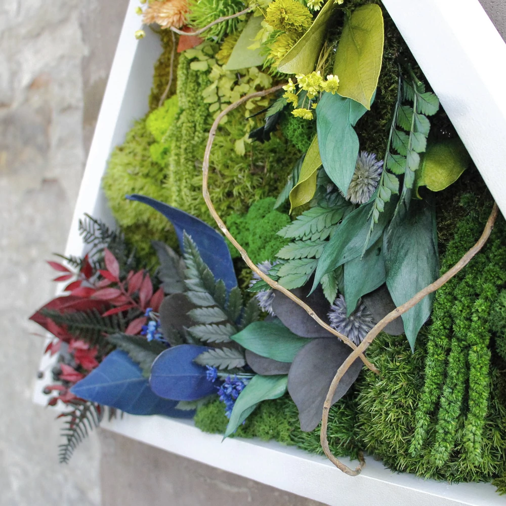 Kép 4/6 - NIJI-DELTA