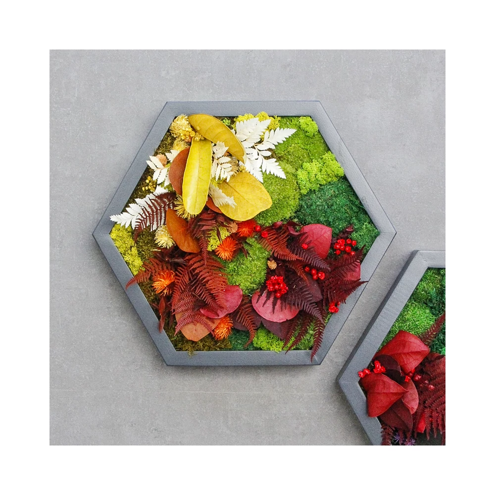 Kép 3/6 - NIJI-HEXA-hármas szett