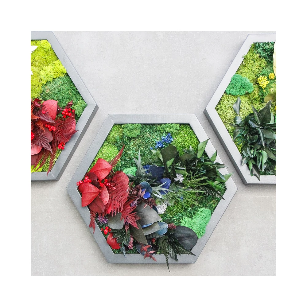 Kép 4/6 - NIJI-HEXA-hármas szett