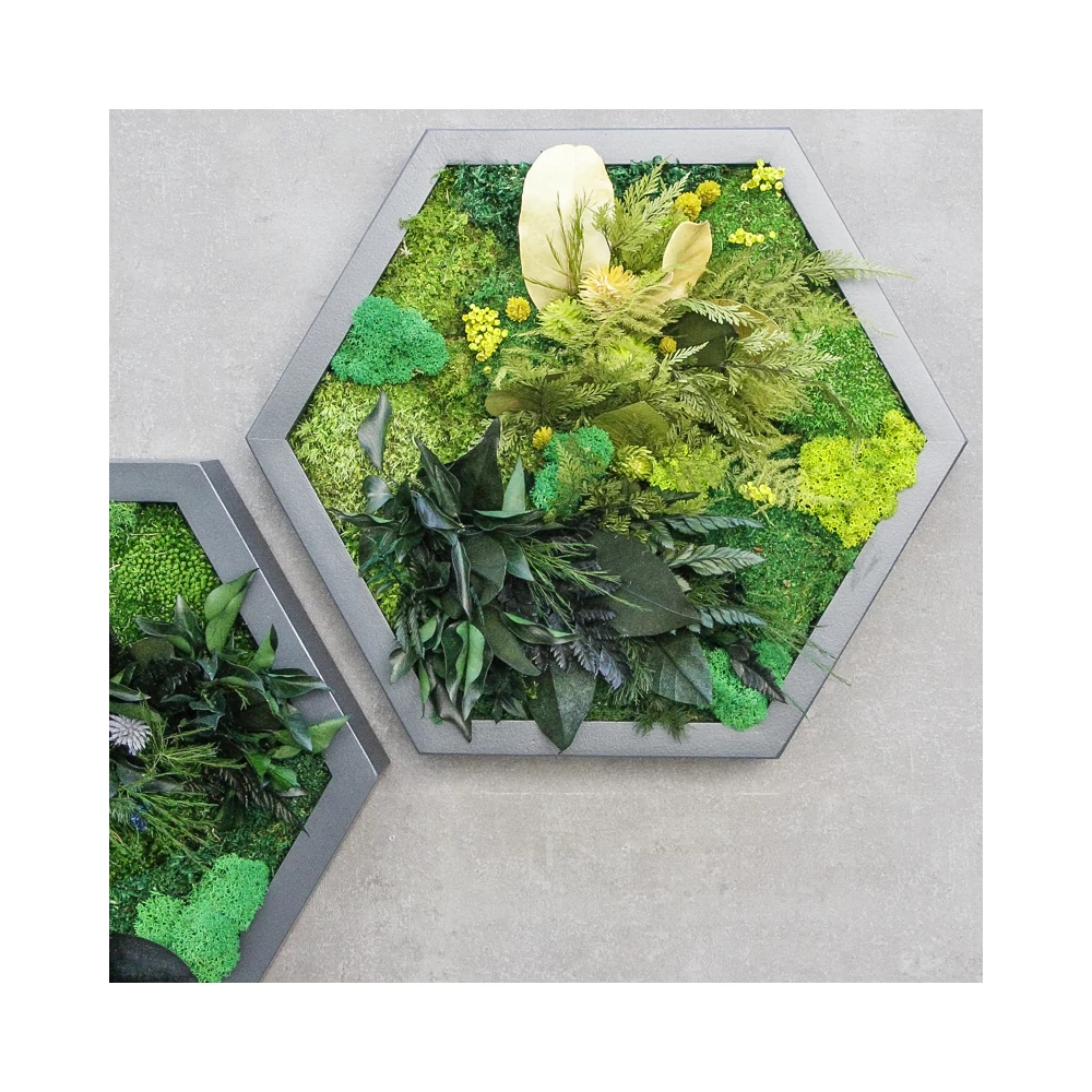 Kép 5/6 - NIJI-HEXA-hármas szett