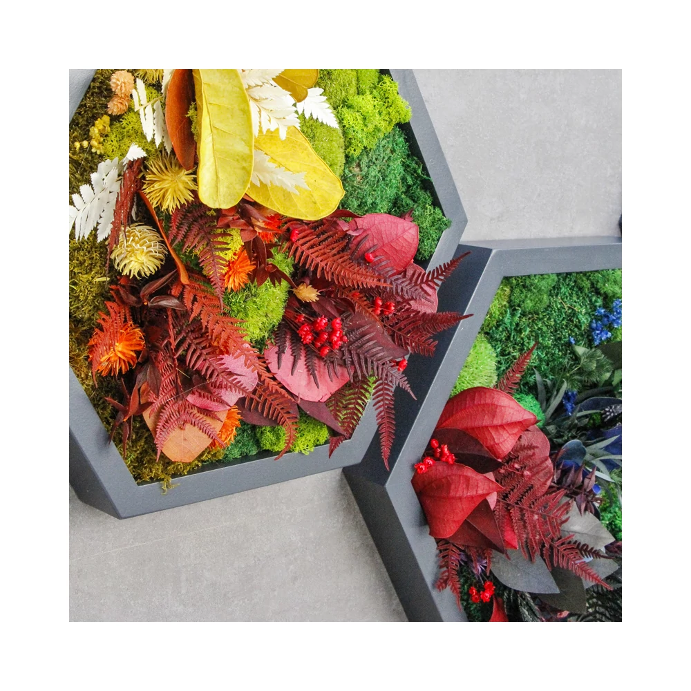 Kép 2/6 - NIJI-HEXA-hármas szett