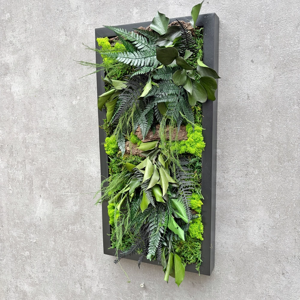 Kép 2/2 - Leafy-25x50