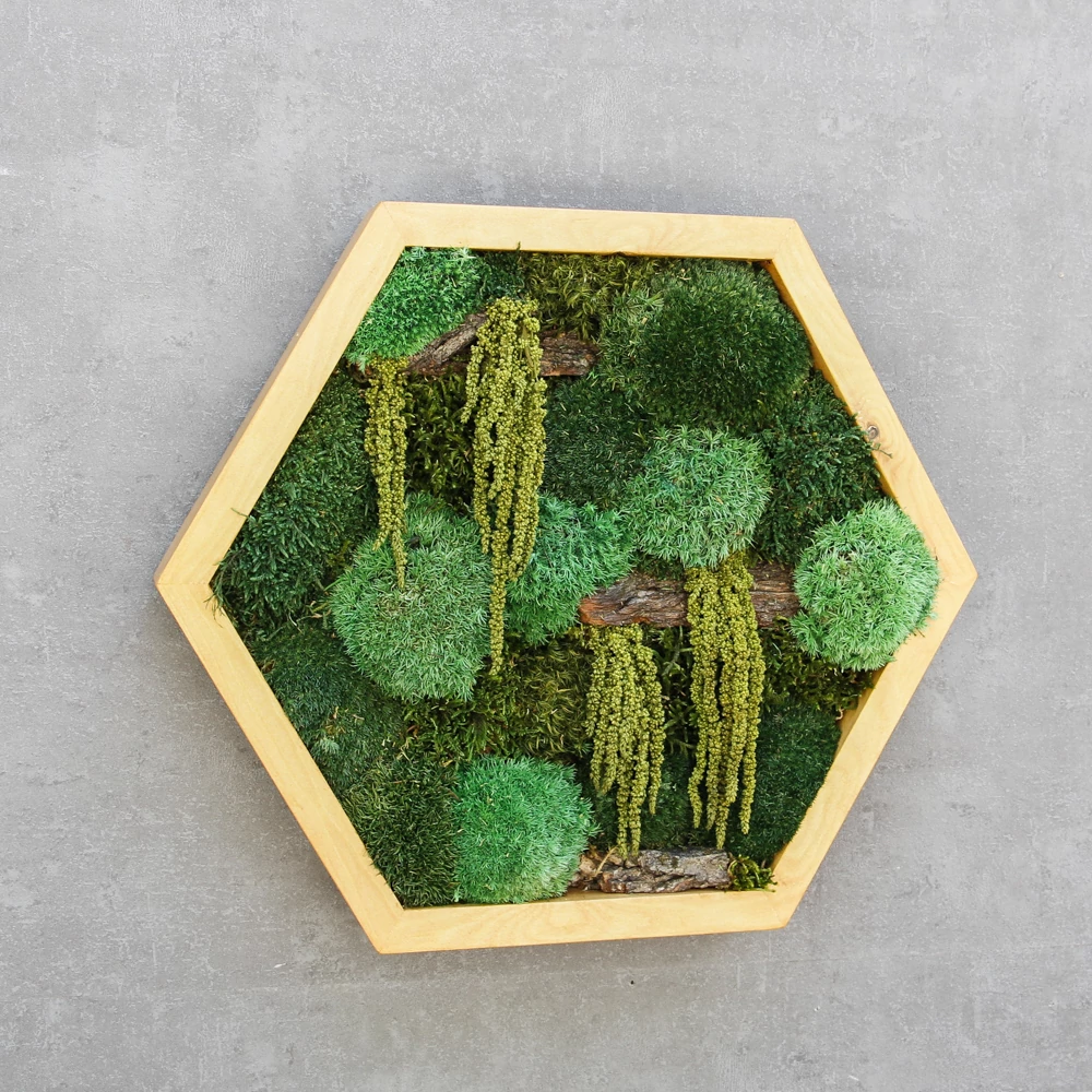 Kép 3/3 - OV_CODY-moss