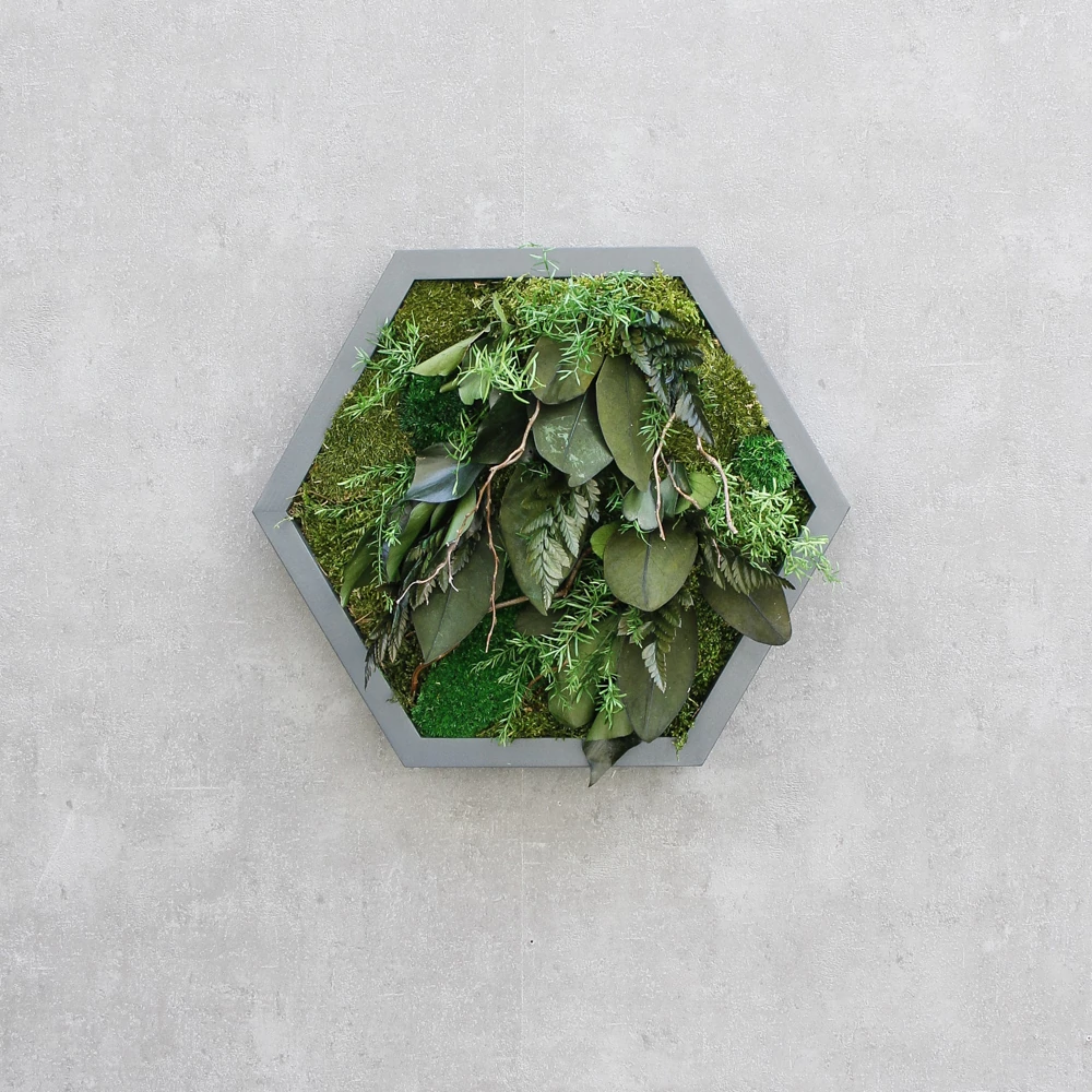 Kép 2/2 - OV_CODY-leafy_4