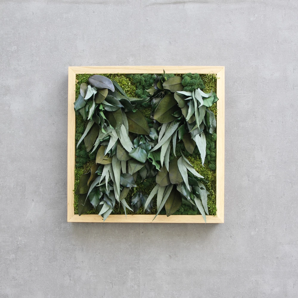 Kép 2/2 - OV_OAK_leafy
