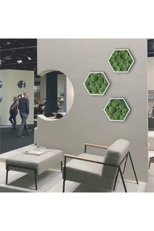 EVENT-MOSSBALL-hexagon