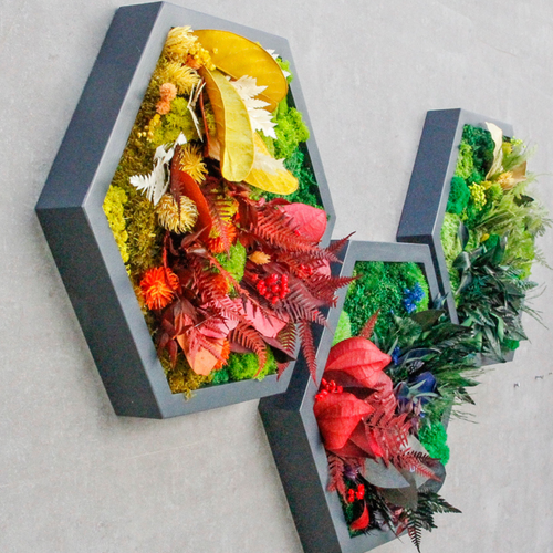 Niji hexagon szett moha keretek szivárvány színekkel – Eagle Decor