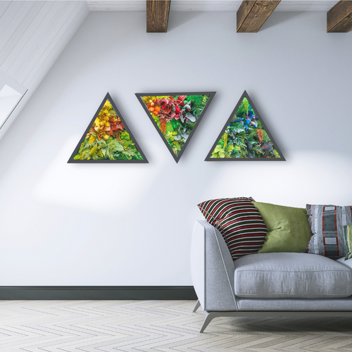 Niji Delta háromszög alakú moha keret – Eagle Decor design