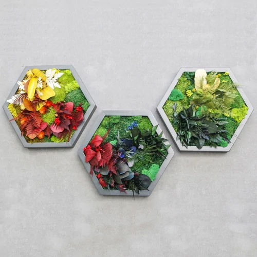 NIJI-HEXA-hármas szett