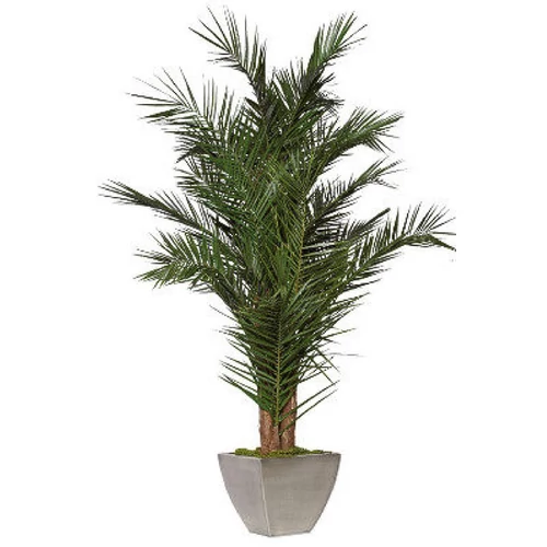 YURU Palm