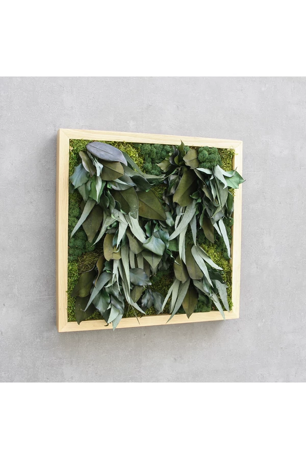 OV_OAK_leafy